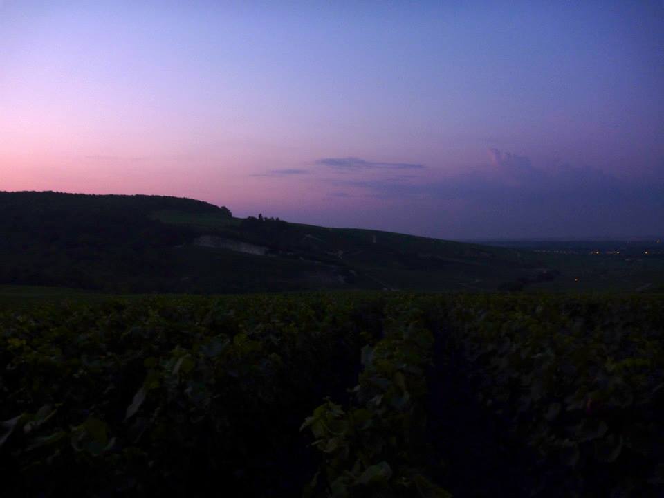 Sint-Martinus den XIIde - Kamp Curfoz JIN 2013